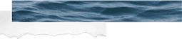 ocean-films-image